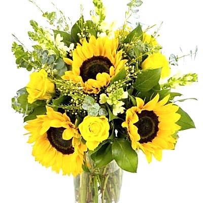 Fortnightly Flower Delivery - sunflowers