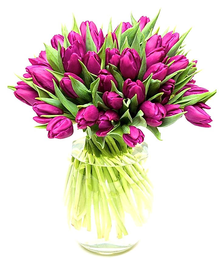 Subscription Flower Delivery - Purple Tulips Flowers Delivered Weekly