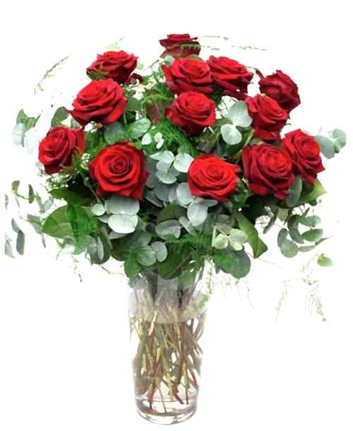 Long Stemmed Red Roses - Grand Prix