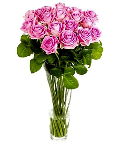 Weekly Flower Delivery –Roses - Long Stemmed - Pink