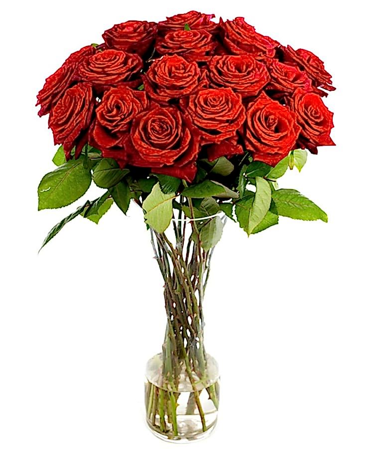 Weekly Flower Delivery – Roses - Long Stemmed - Red