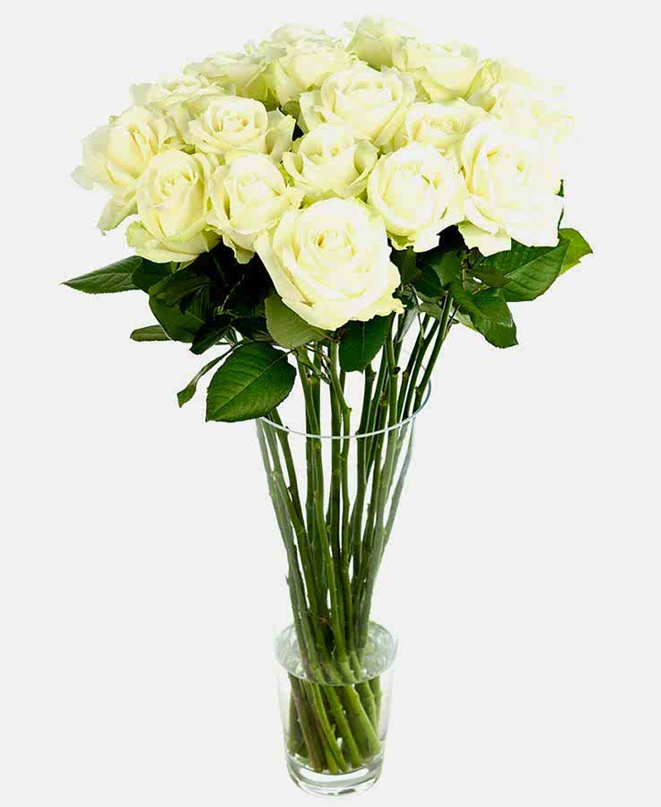 Weekly Flower Delivery – Roses - Long Stemmed - White