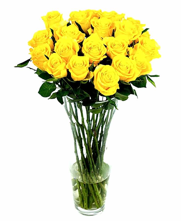 Weekly Flower Delivery – Roses - Long Stemmed - Yellow