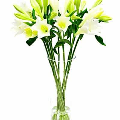 Flower Subscription - Lilies