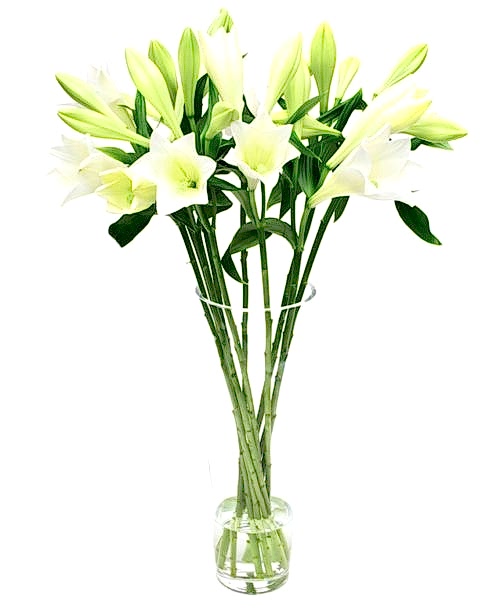 Flower Subscription - Lilies