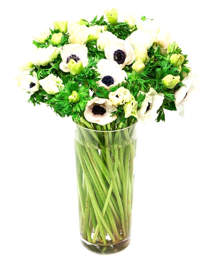 White Anemones Flowers Delivered
