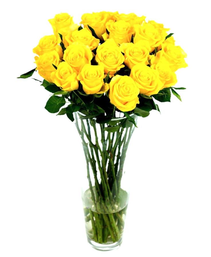Roses - Yellow